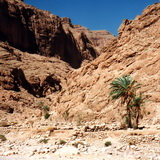 Todra - Gorge